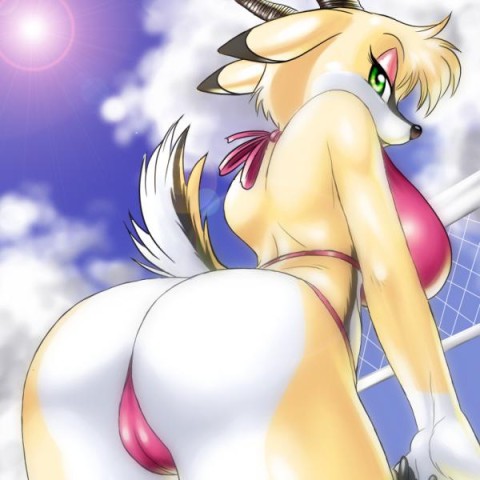 yiffy furry366