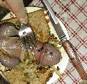 t_0042.jpg