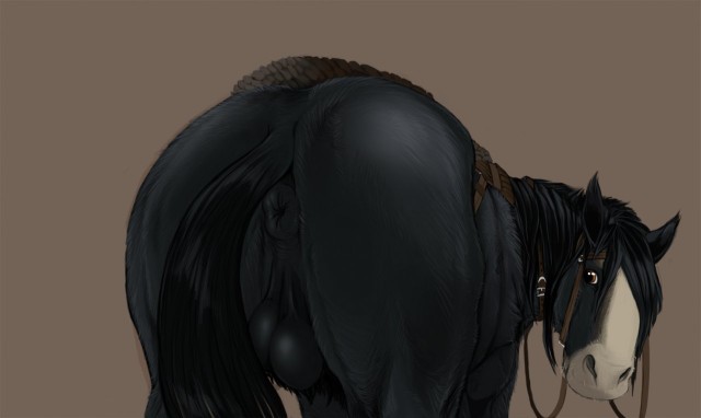 860524 - Narse Brave angus
