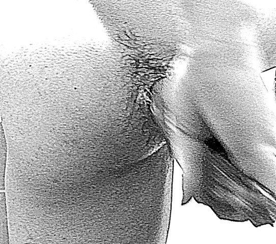cucurbit 7627