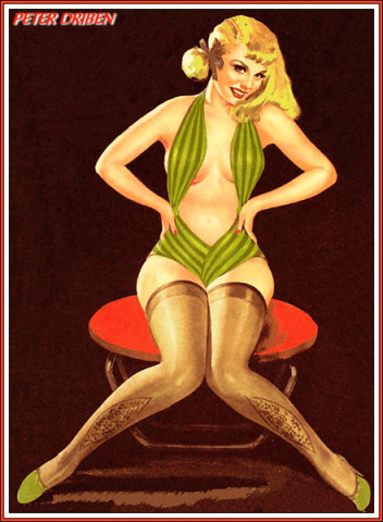 pinup 331