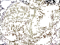 Myr1--22-.gif
