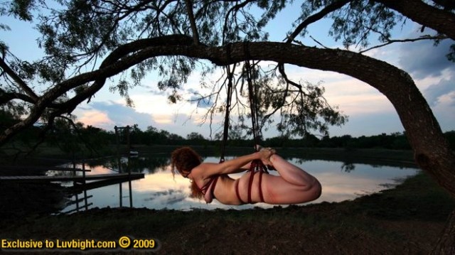 Exib-en-nature.jpg