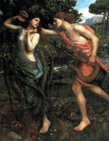 apollo und daphne