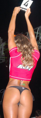 reef-58979.jpg