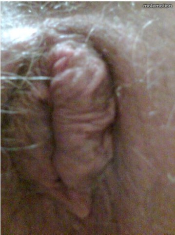 Hom Cho 07