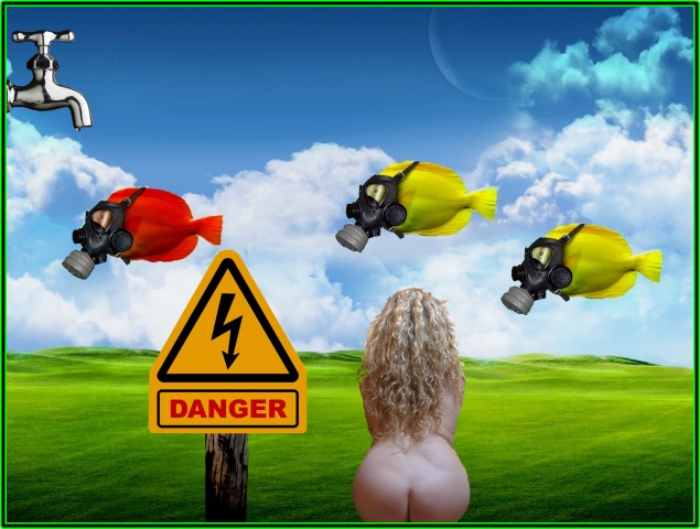 1237-paysage-virtuel-WallFizz