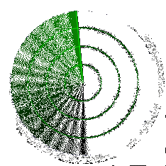 radar-copie-1