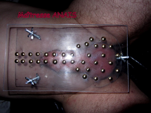 Torture-sexe 2449