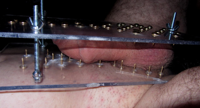 Torture-sexe 2450