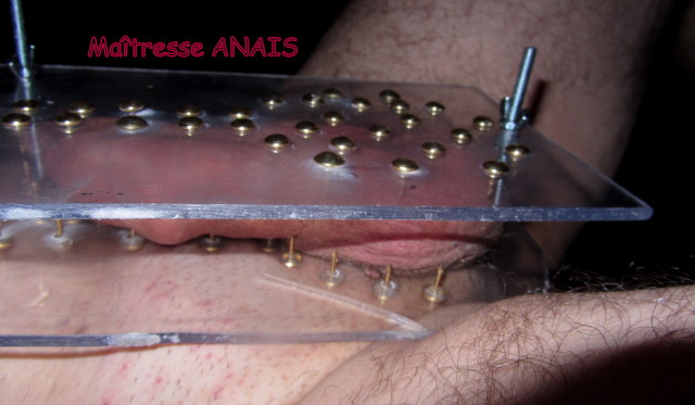 Torture-sexe 2458