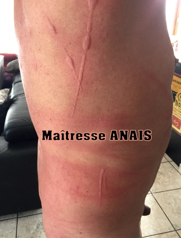 Torture-sexe 2978