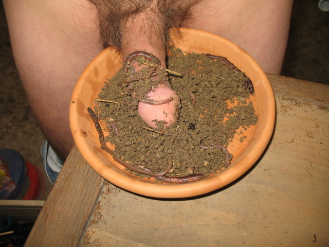 Vers_1462.jpg