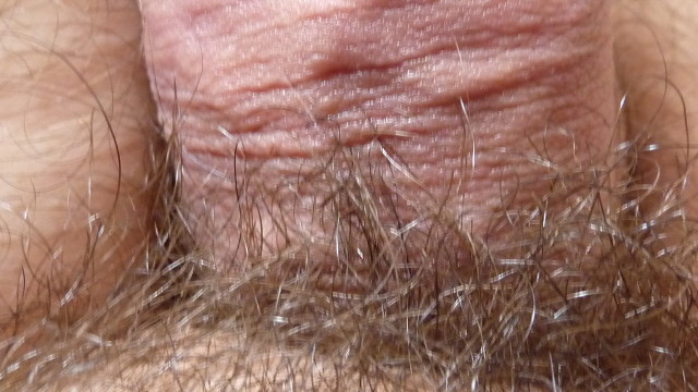 P1010005