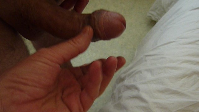 P1130481 3364