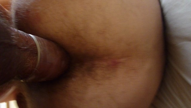 P1130504 1133
