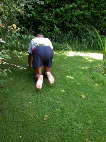 Garden8