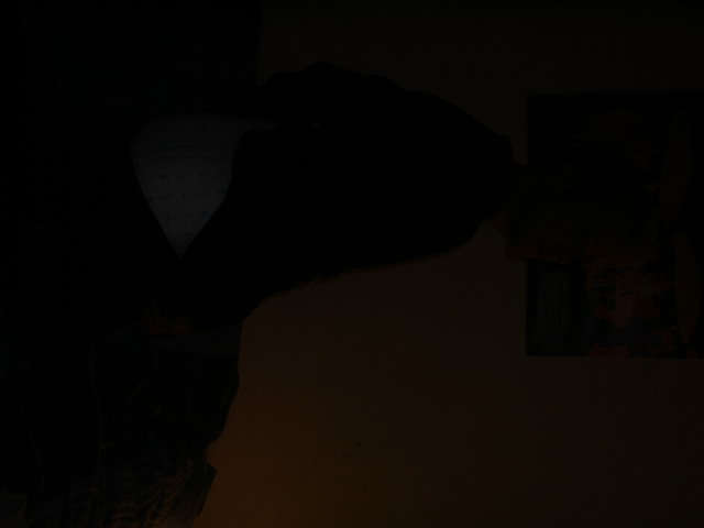 PICT0725