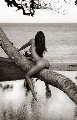 Outdoor (85)