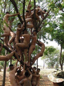 partouze touze group groupe band sexe gay photo th-copie-13