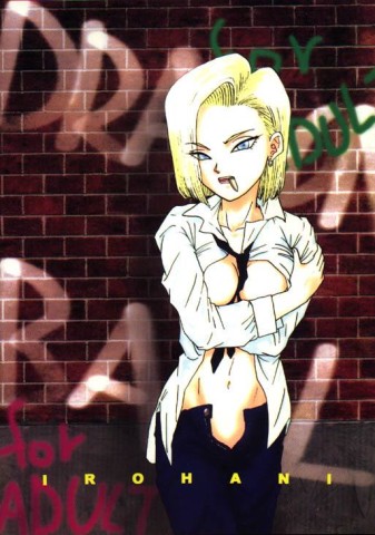dragon ball z 017