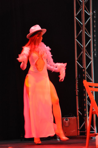 Erotix Mons 2010 DSC 9017 t