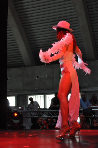 Erotix Mons 2010 DSC 9024 t