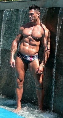 swimpixx22782y