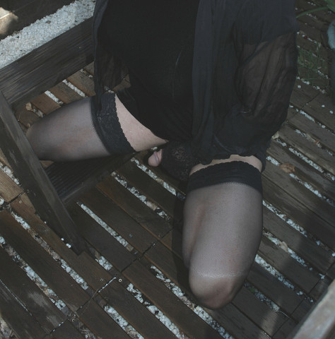 Serie008 8454