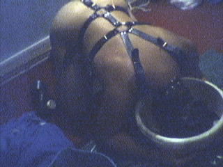 balls079