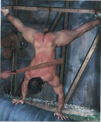 Donjon   12 