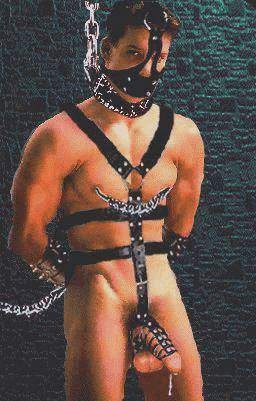 Donjon   5 