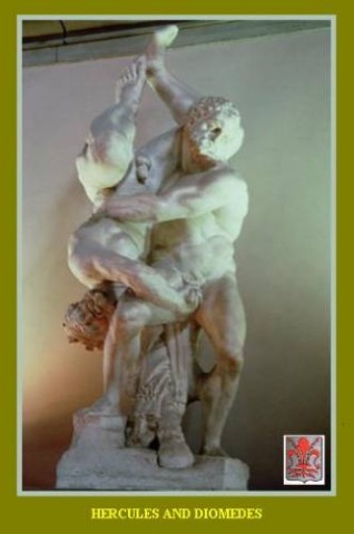 Oeuvre d'Art   8 