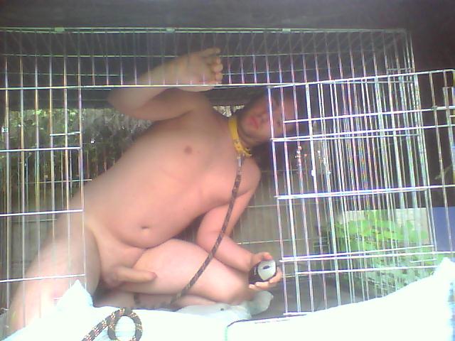 Pochi le chien 15