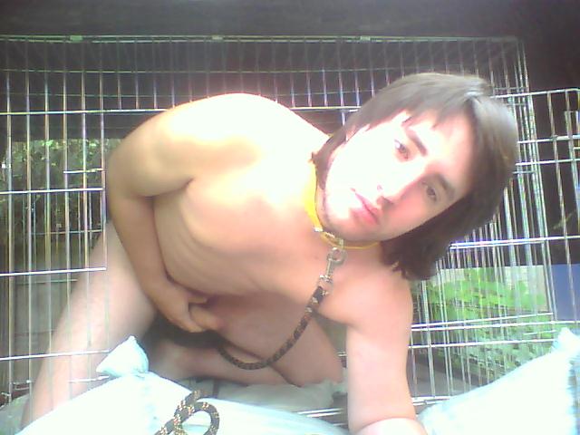 Pochi le chien 18
