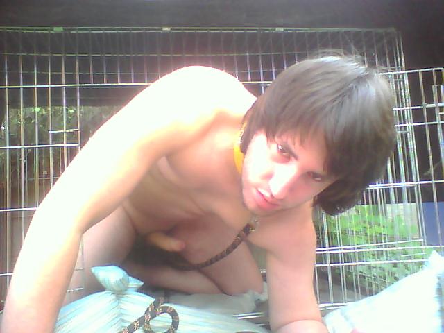 Pochi le chien 20