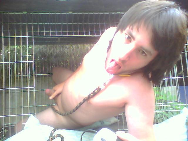 Pochi le chien 21