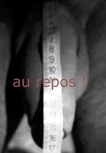 17 cm au repos