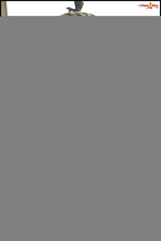 s02