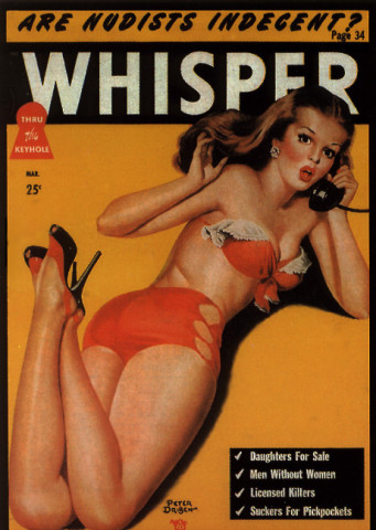 pin ups publicitaire (86)
