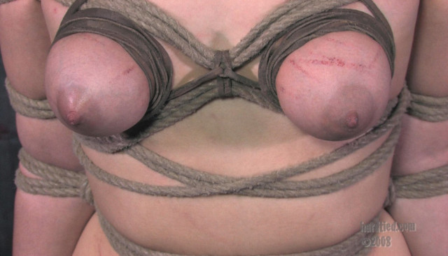 Aiguilles dans les seins1 (118)