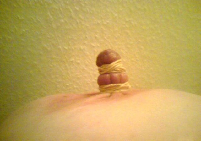 Travail des seins10 (134)