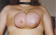 Travail des seins5 (213)