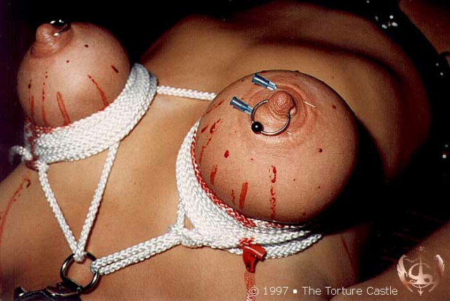 Travail des seins5 (385)