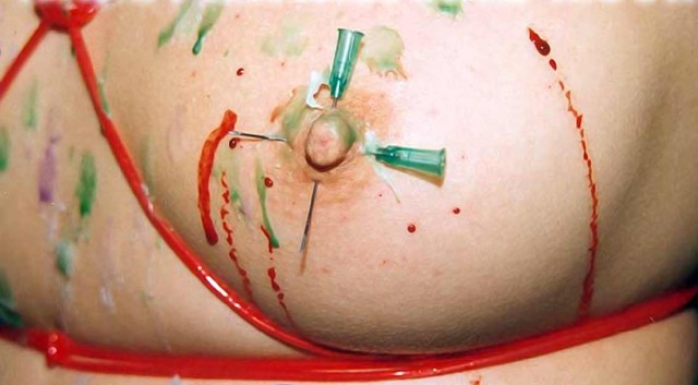 Travail des seins8 (161)