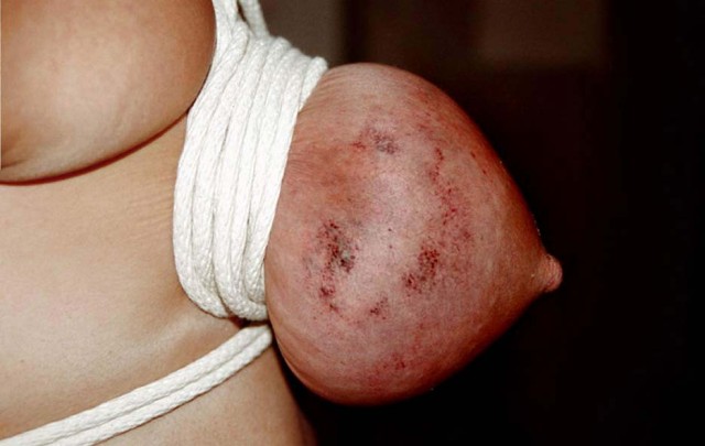 Travail des seins9 (125)