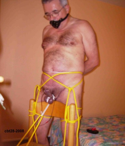 Cbt28-2008-016