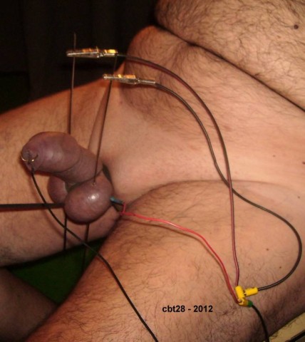 Cbt28-2012-029