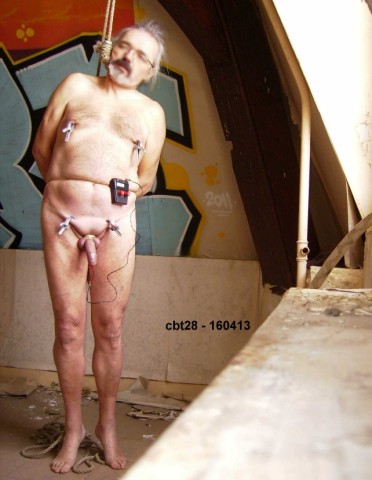 Cbt28-2013-012