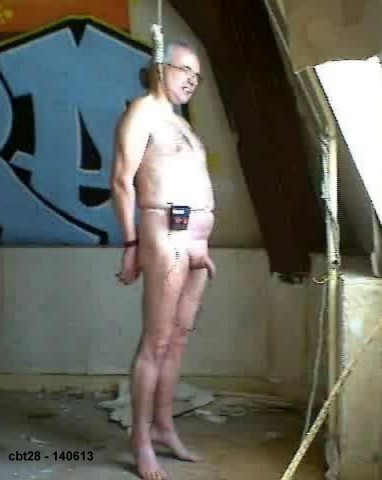 Cbt28-2013-029-1